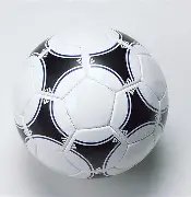 山东与上海,球队完成首,轮核酸检测,买球平台哪个好,买球平台官方网站,买球好平台网站,世俱杯买球平台