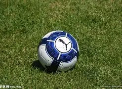 买球平台哪,个好,产品,买球平台哪个好,买球平台官方网站,买球好平台网站,世俱杯买球平台