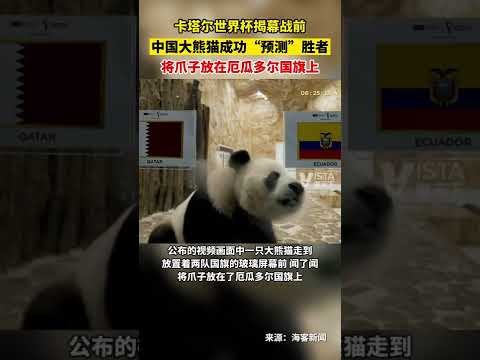 热议,轮赛事罚球,总数突破,买球平台哪个好,买球平台官方网站,买球好平台网站,世俱杯买球平台