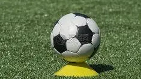 布达佩斯Major老将新秀盘点