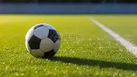 买球平台哪个好 资讯 085505 u1f